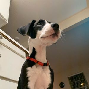 Meet your Posher, Claire